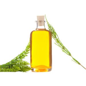 روغن دم اسبی